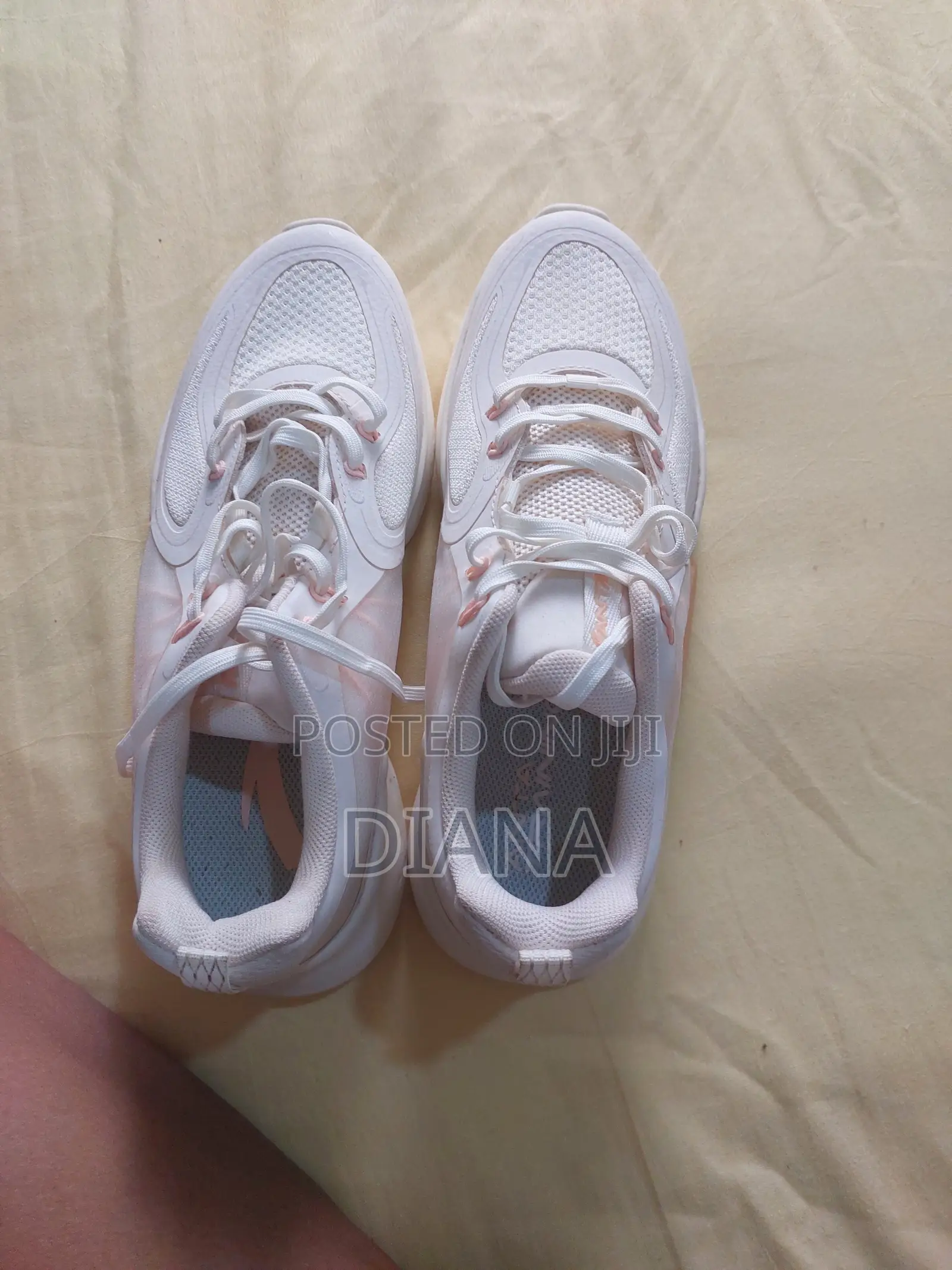 Anta White Canvas