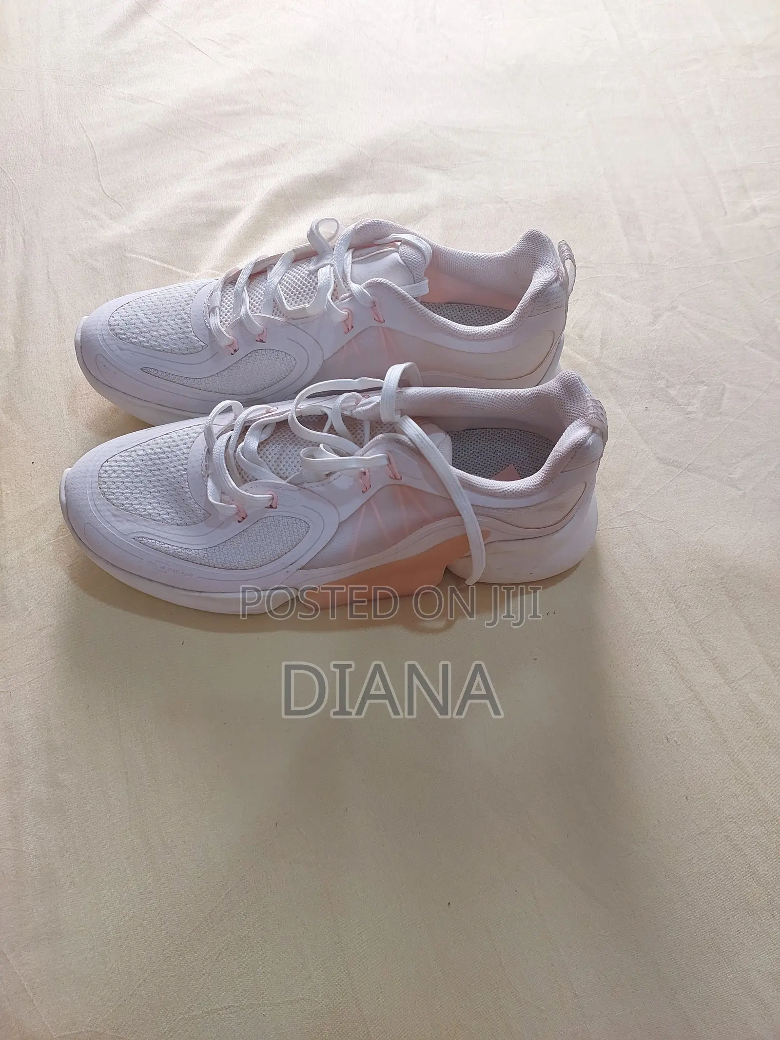 Anta White Canvas