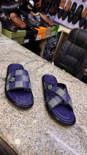 Dior Lv Slippers. Highest Quality