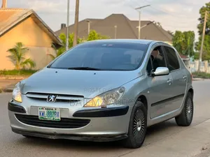 Peugeot 307 2007 Silver