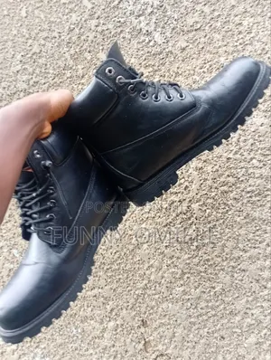 Timberland Shoe
