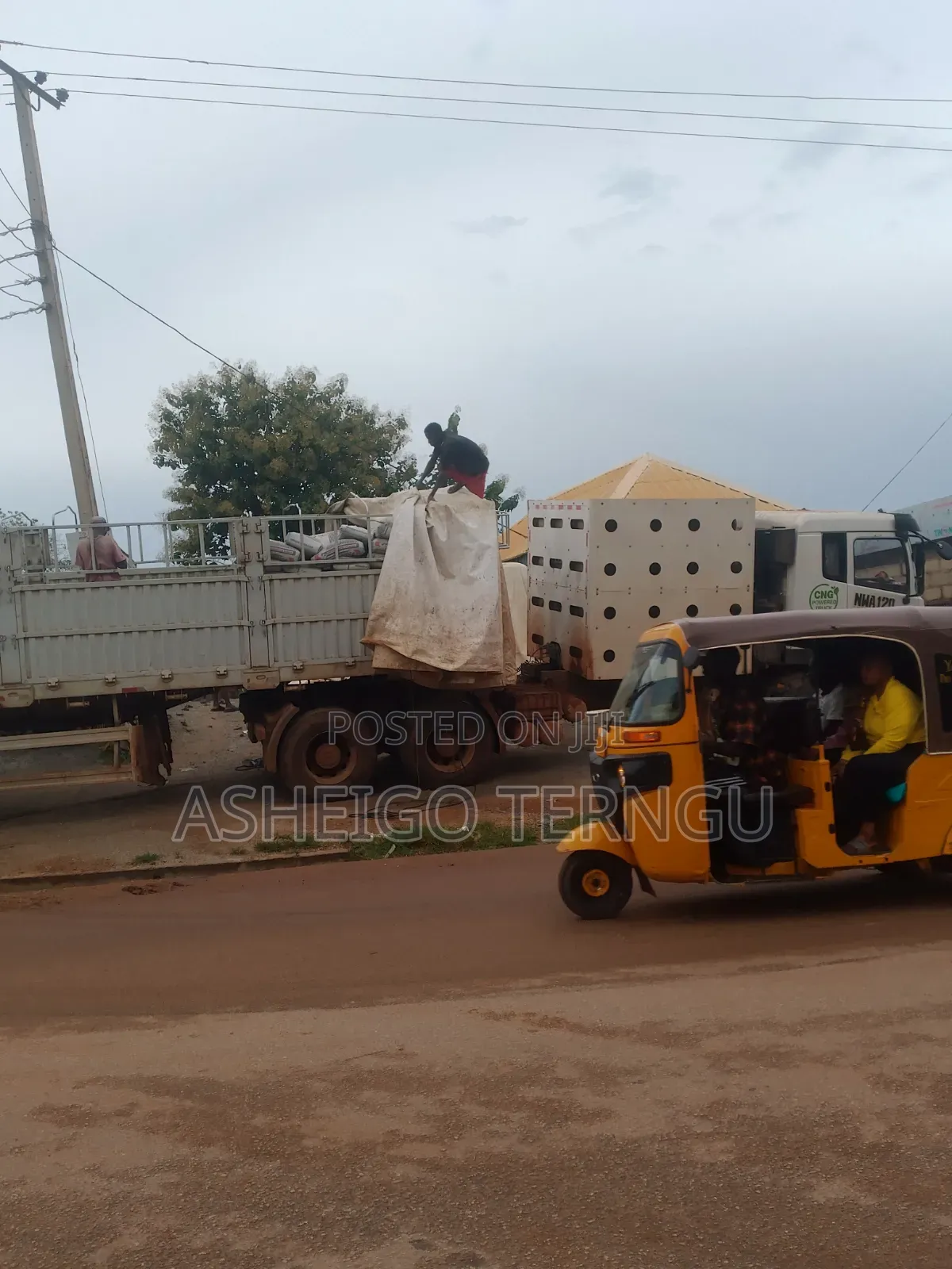 Dangote Cement Distributors Nationwide