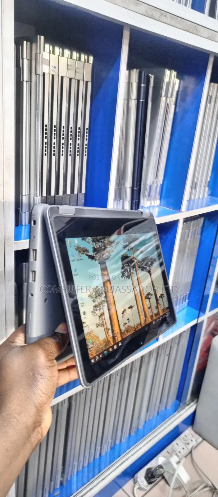 Laptop Dell Latitude 3120 8GB Intel Pentium SSD 256GB