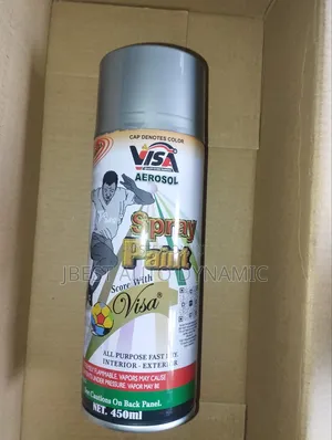 Visa Grey Spray Paint