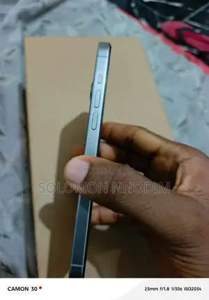 Apple iPhone 15 Pro Max 256 GB