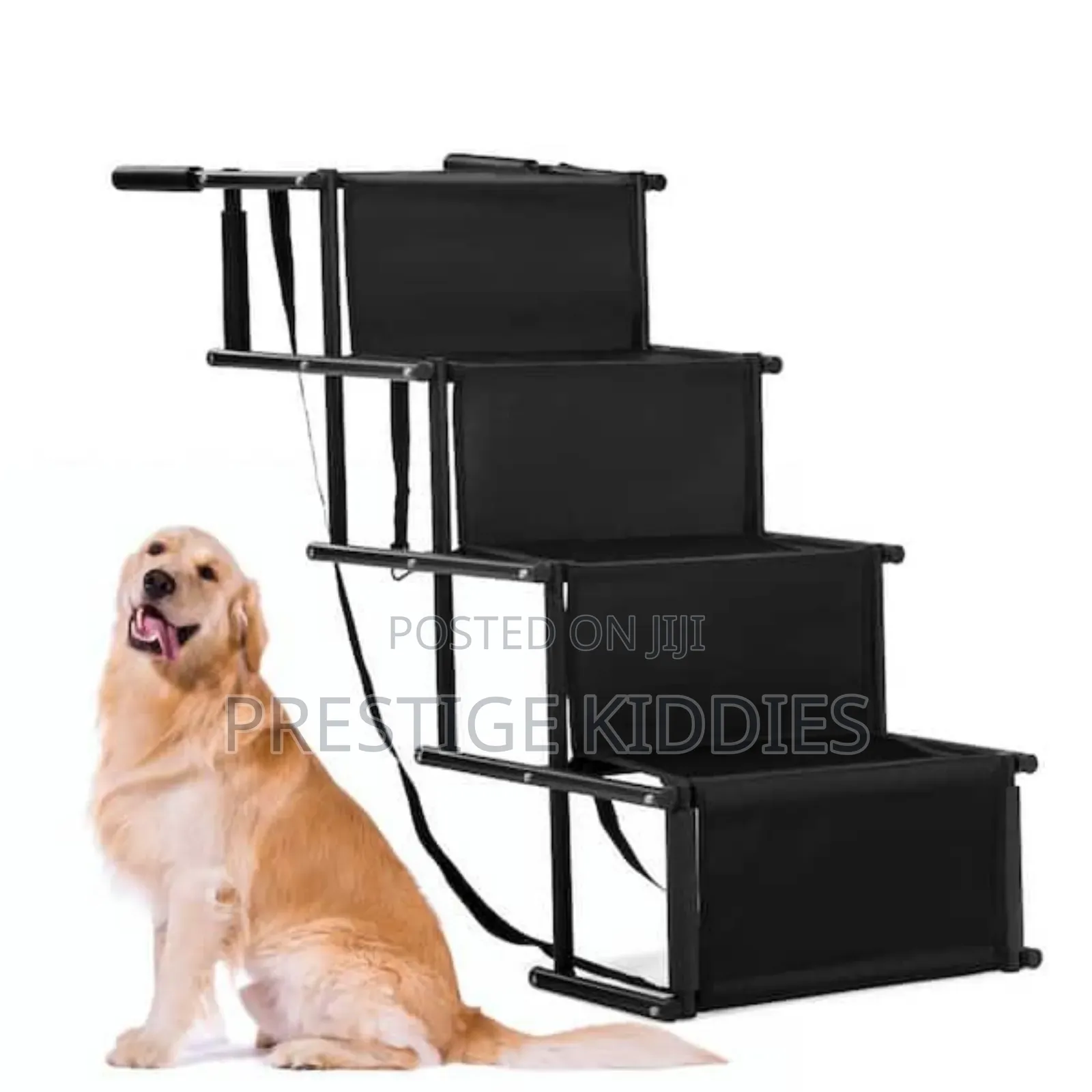 Poppy Bed and Ladder