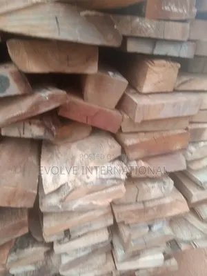 Plywood for Roofing and Other