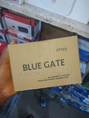 Ups Battery