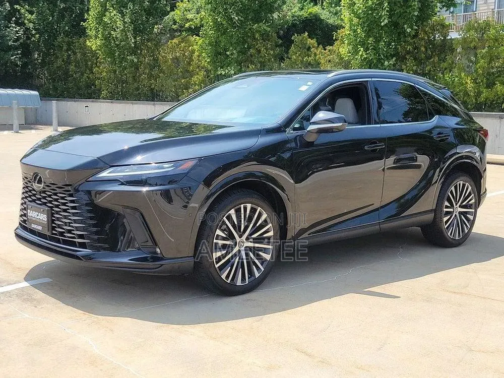 Lexus RX 2024 Gray