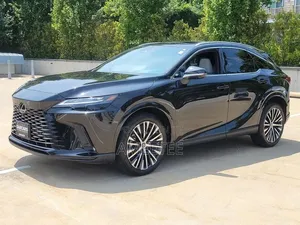 Lexus RX 2024 Gray