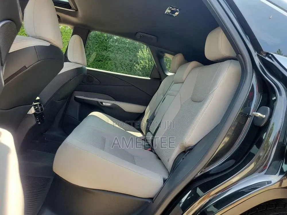 Lexus RX 2024 Gray