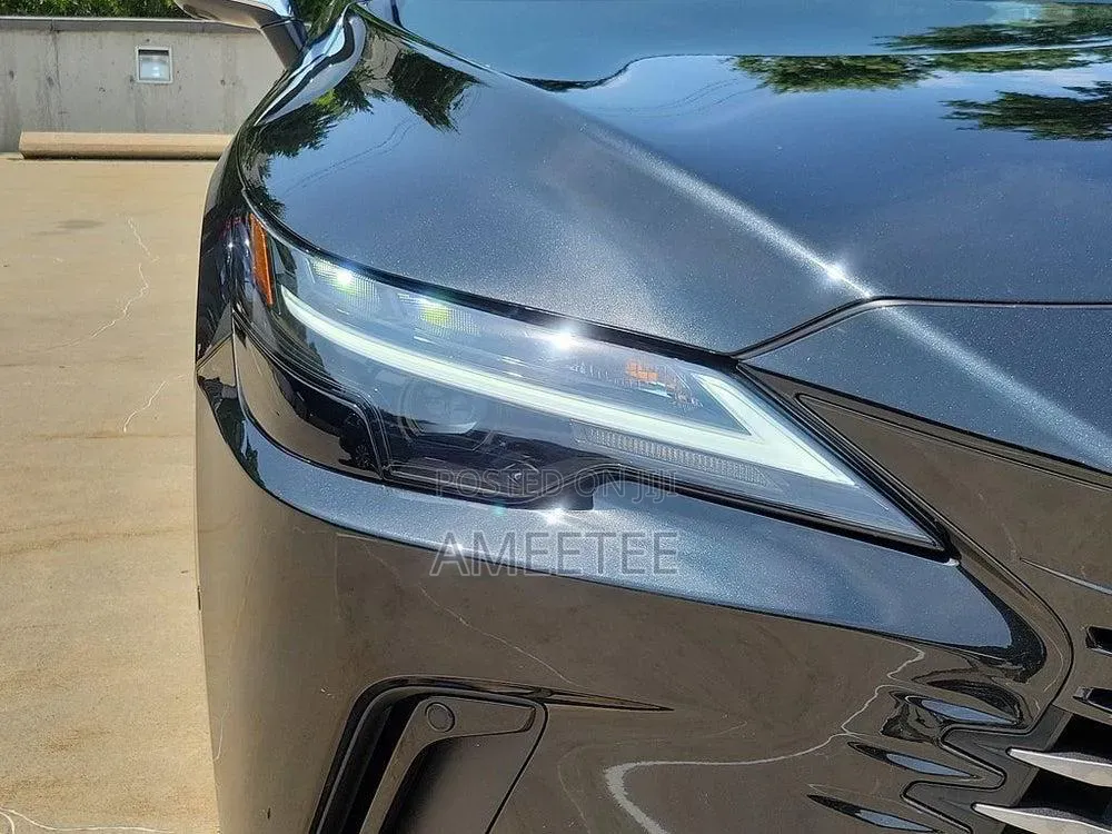 Lexus RX 2024 Gray