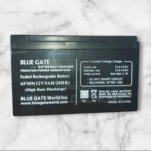Ups Battery