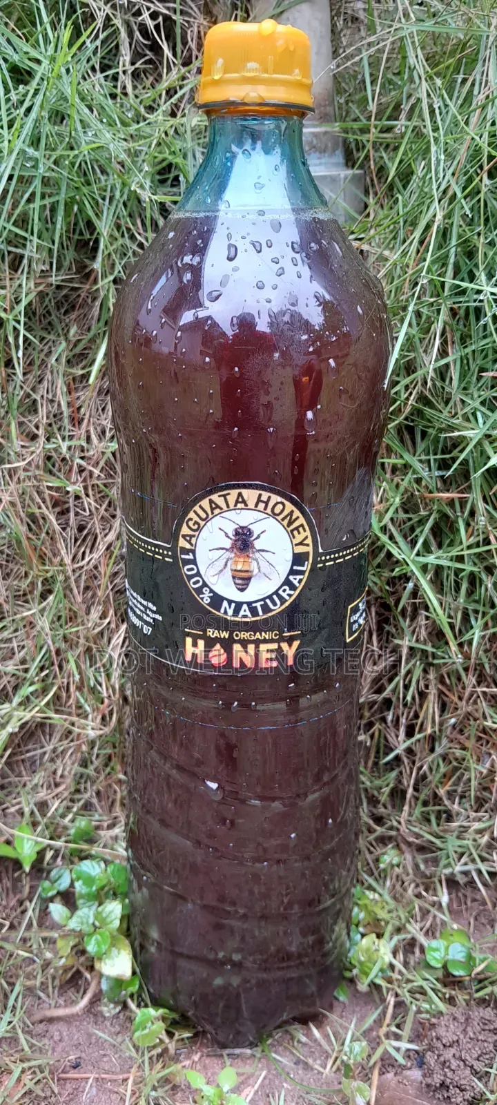 Pure Honey