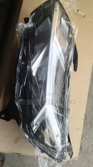 Hand Lamp and Back Light Renault Sandero 2024