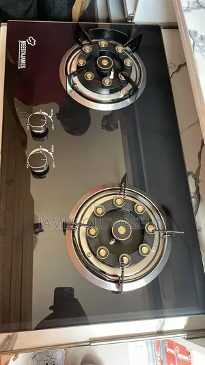 Meestajames Original 2 Burner Gas