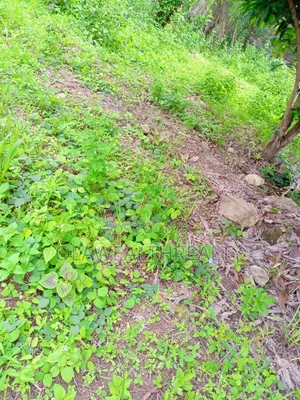 2,306sqm Residential Land at Maitama Main