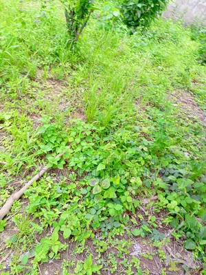 1,600sqm Residential Land at Maitama Main