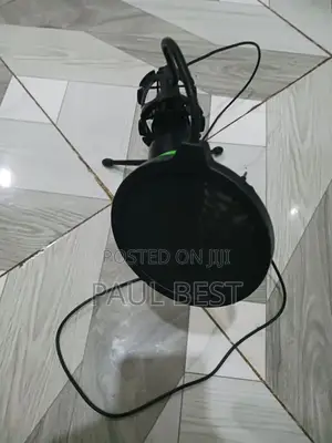 Wired Microphone