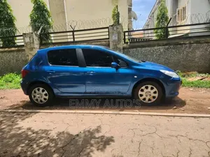 Peugeot 307 2006 Blue