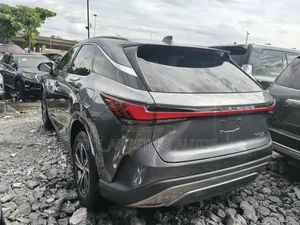 Lexus RX 2024 Gray