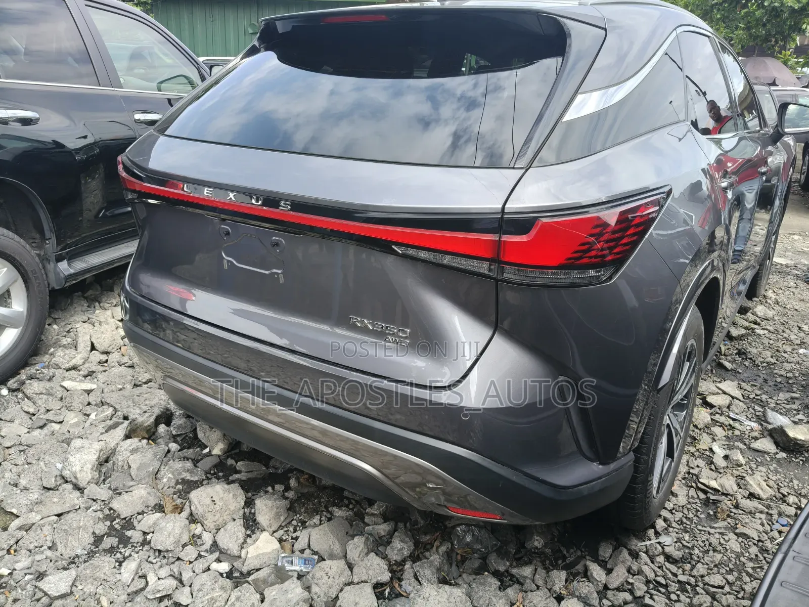 Lexus RX 2024 Gray