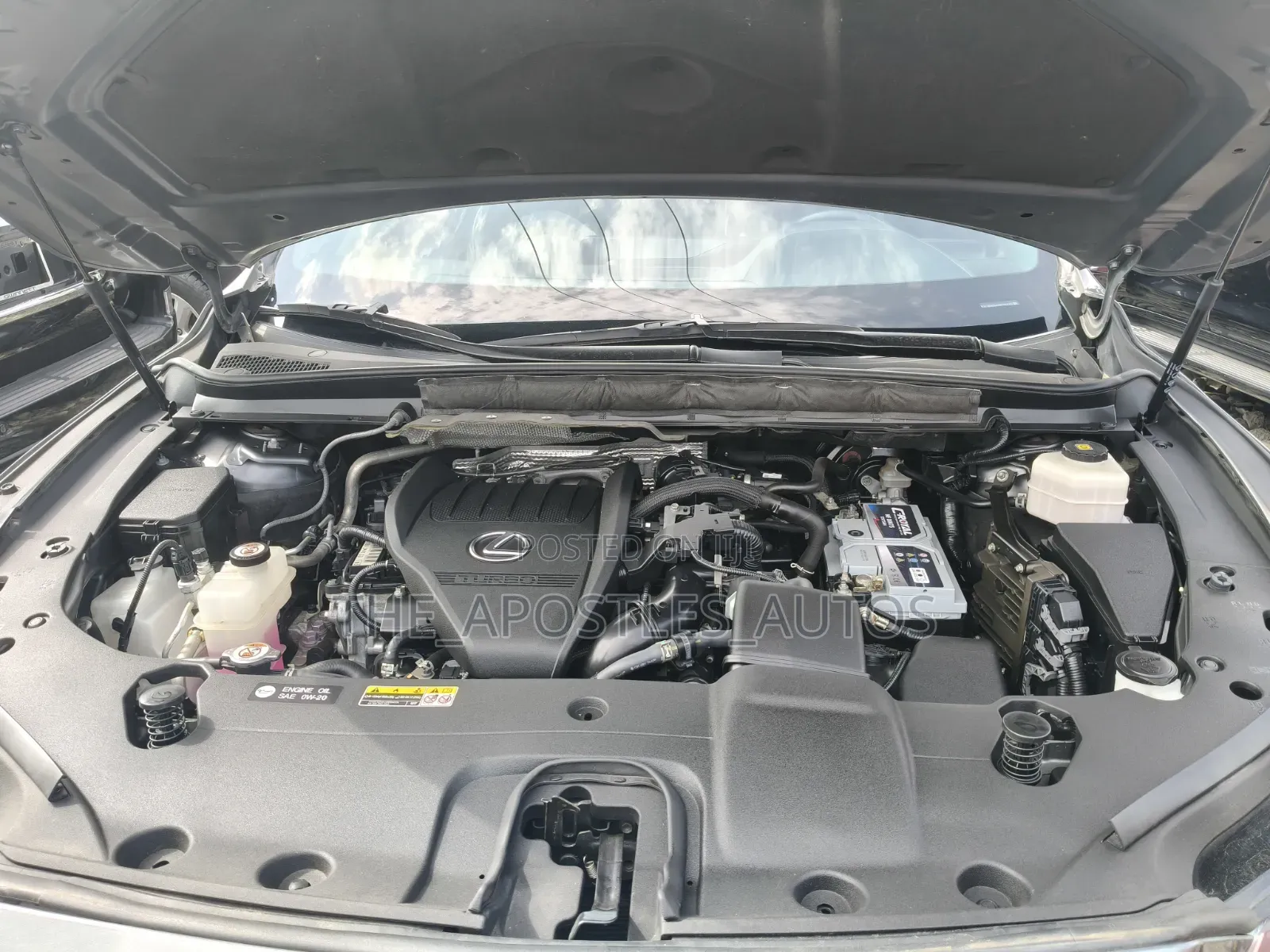 Lexus RX 2024 Gray