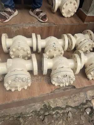 3*600 Check Valves