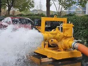 Dewatering Pump