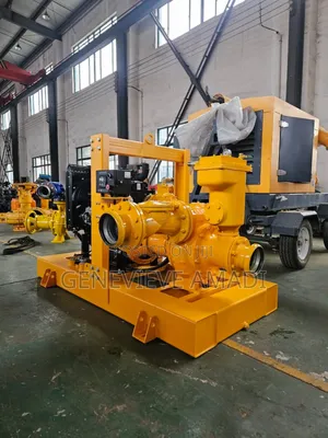 Dewatering Pump
