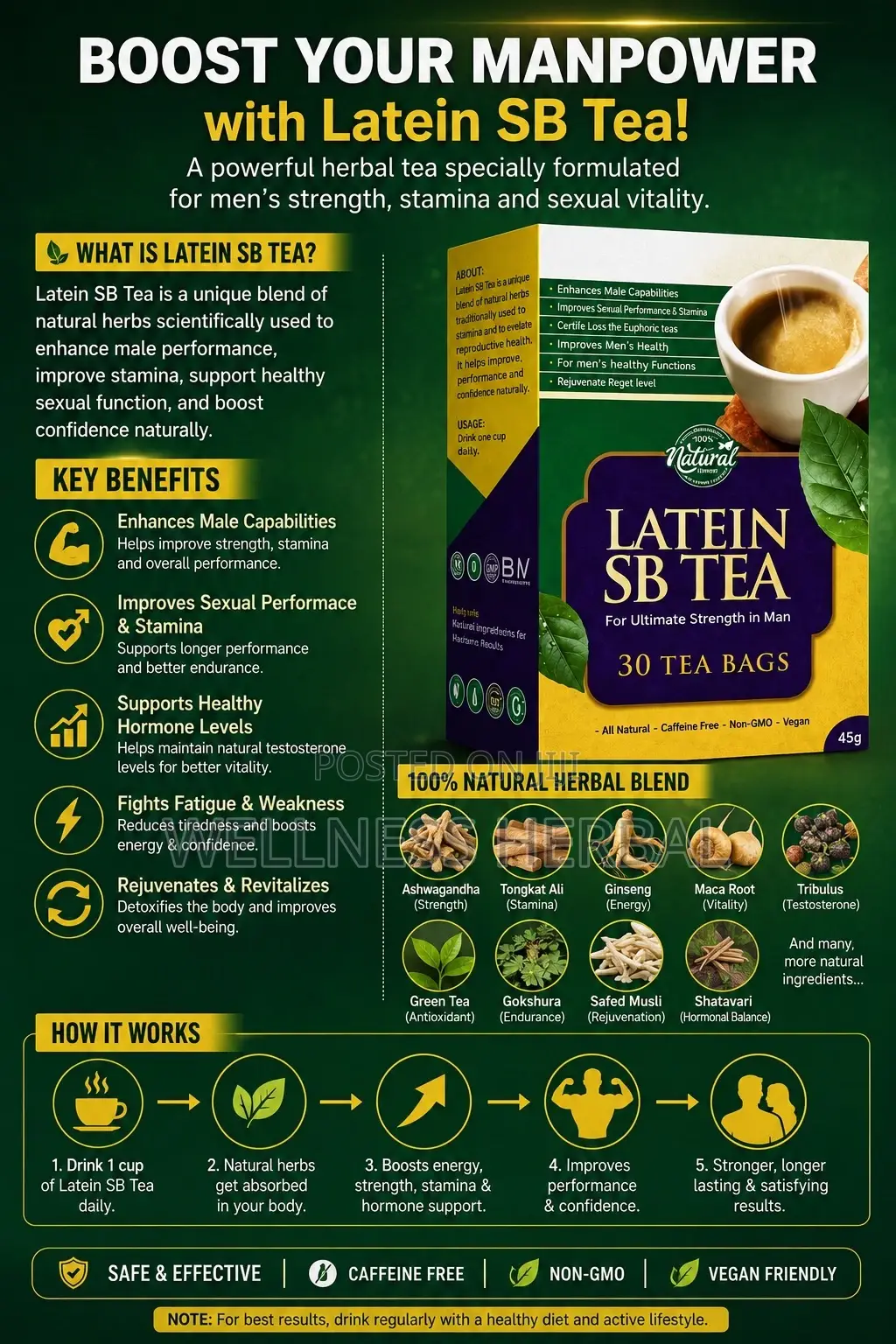 Latein Sb Herbal