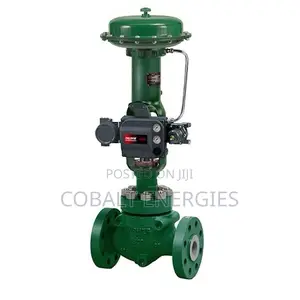 Pneumatic Globe Control Valve With a Digital Valve Positioner.