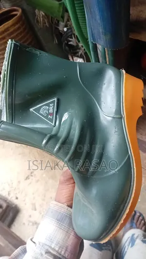 Zebra Children Rainboot