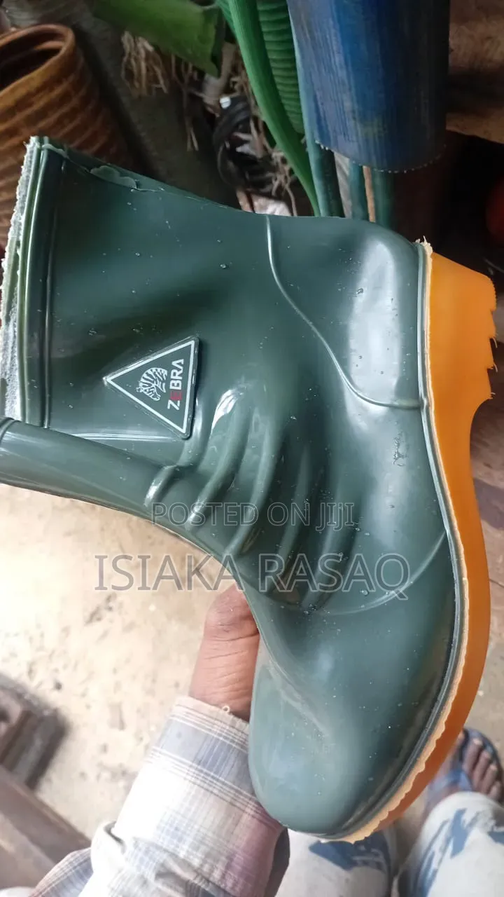 Zebra Children Rainboot