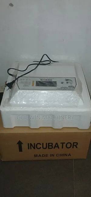 Eggs Incubator