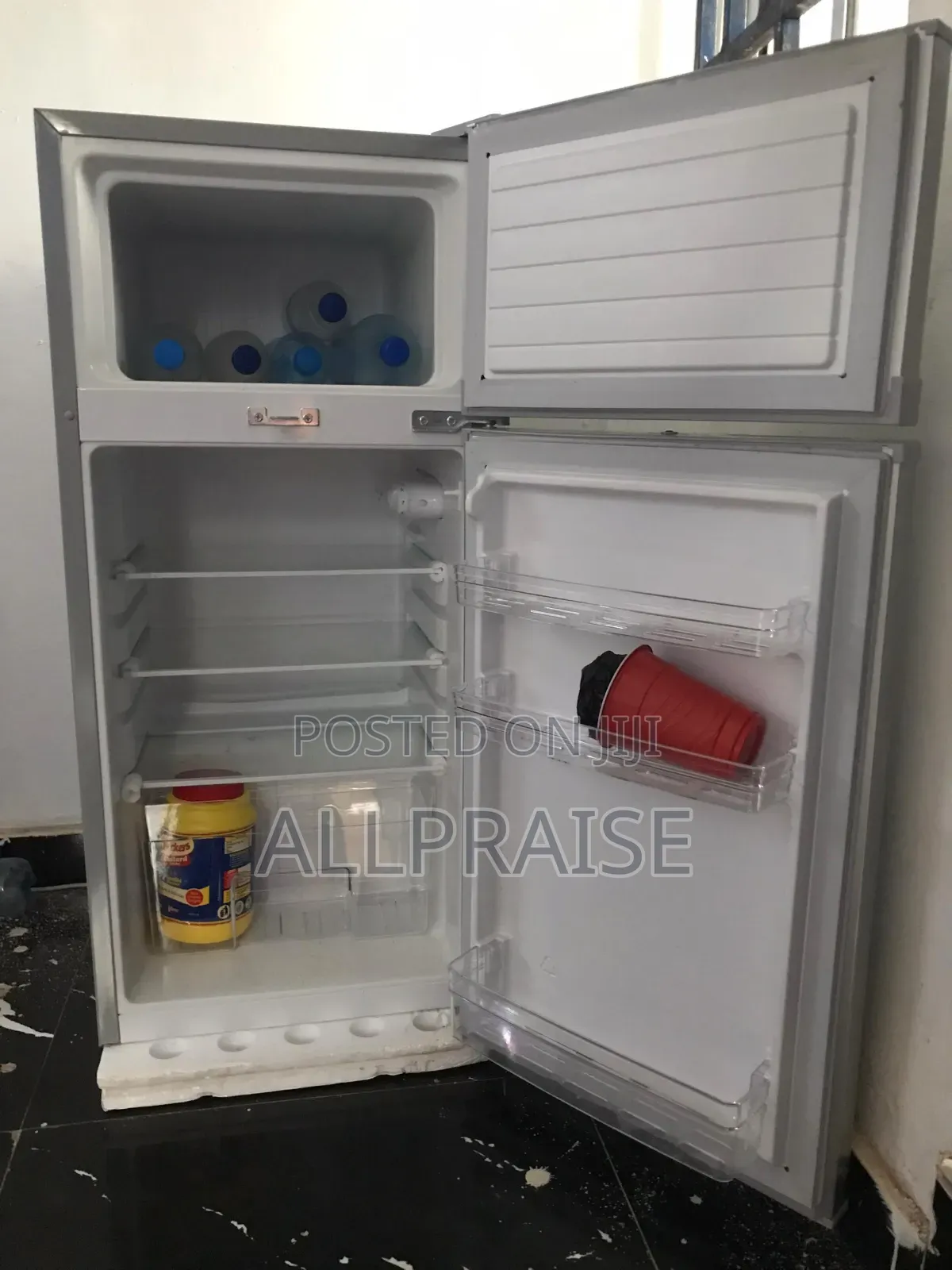 Hair Thermocool Fridge