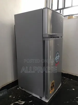 Hair Thermocool Fridge
