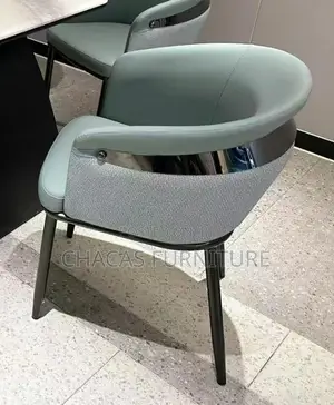Modern Executive Accent Dining Chairs