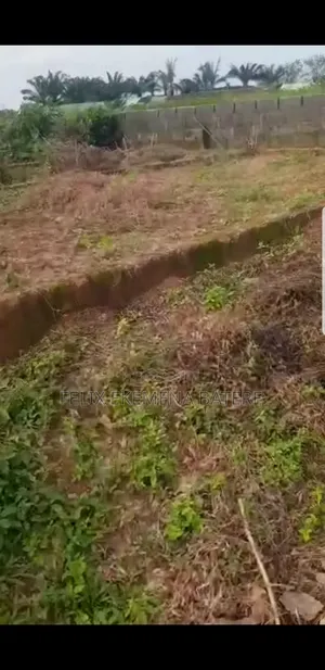 Land for Sale at Obayantor 100 by 100