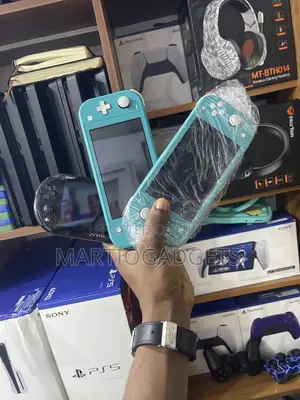 Nintendo Lite