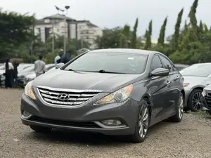 Hyundai Sonata 2013 Gray