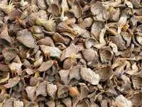Palm Kernel Shell