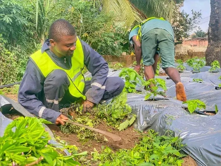 Fumigation Services (Pest/Weed Control)