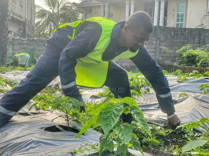 Fumigation Services (Pest/Weed Control)