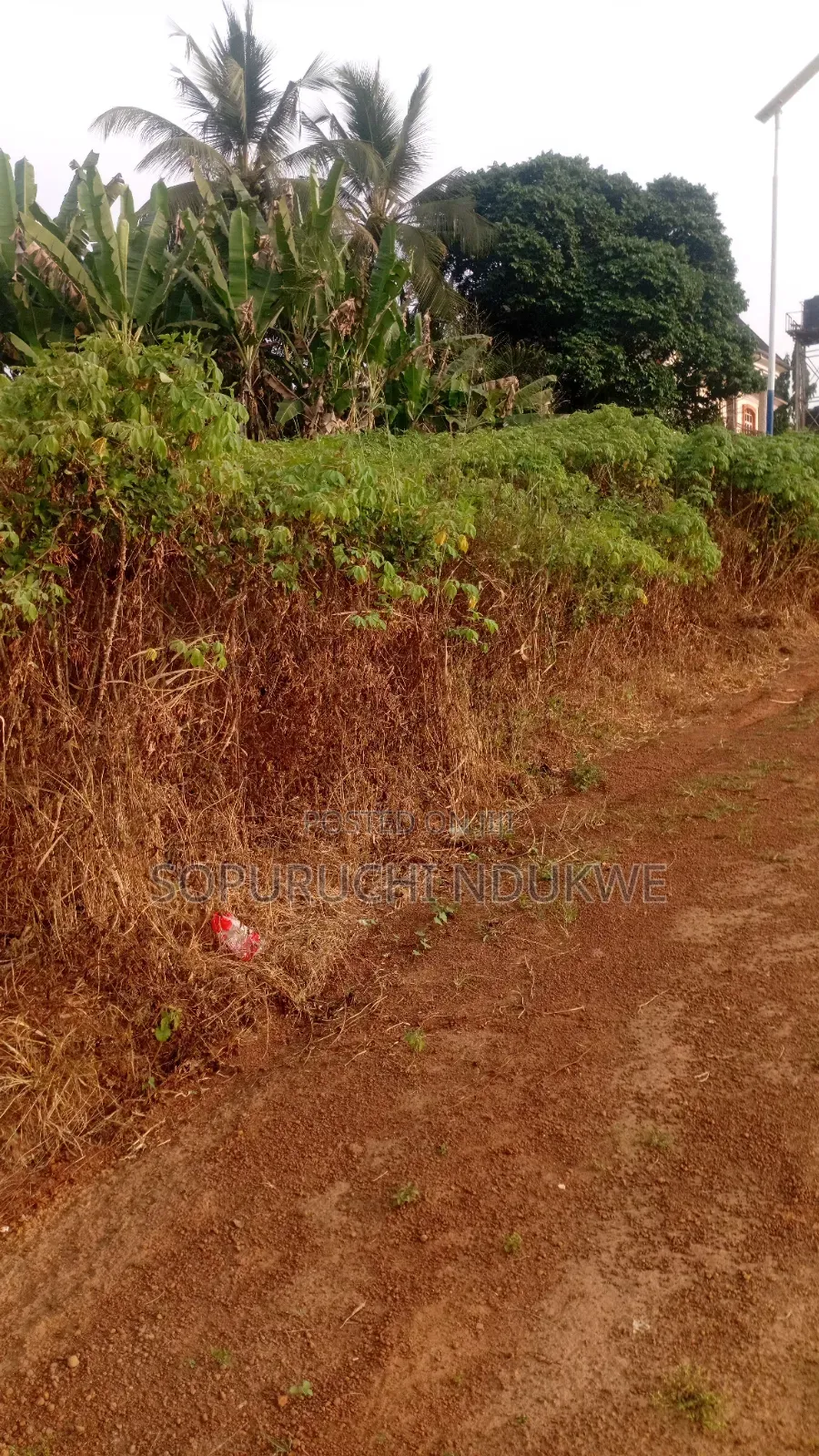 Fumigation Services (Pest/Weed Control)