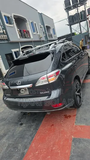 Lexus RX 2010 Gray