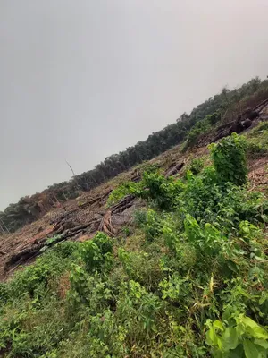 Ketu Epe Land With Freehold and Registered Survey L