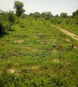 For Sale 2 Plots of Land at Imola-Ijadu , Ado Ekiti. Price: #2m for 2