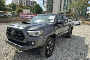 Toyota Tacoma TRD Sport 2019 Gray