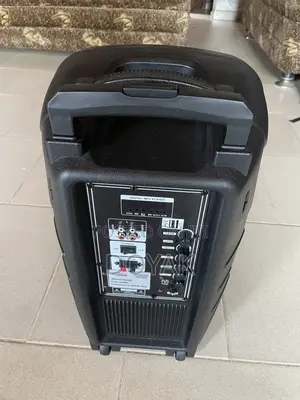 Sunymax Pa System